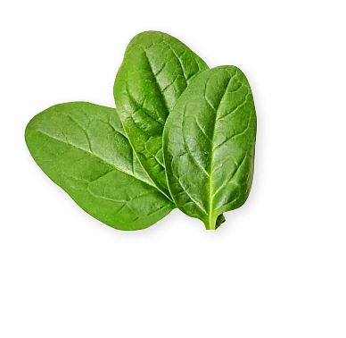 Spinach