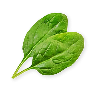 Spinach