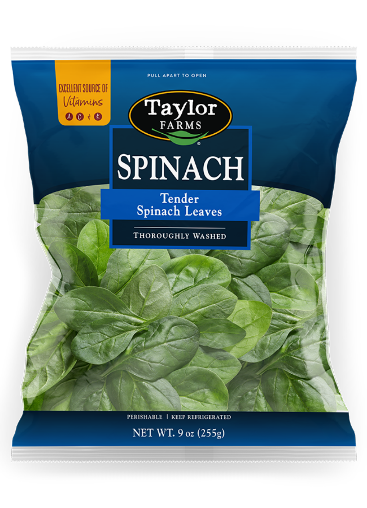 Amp Conditioner X Cleaning Solution, X Brush Easily Clean