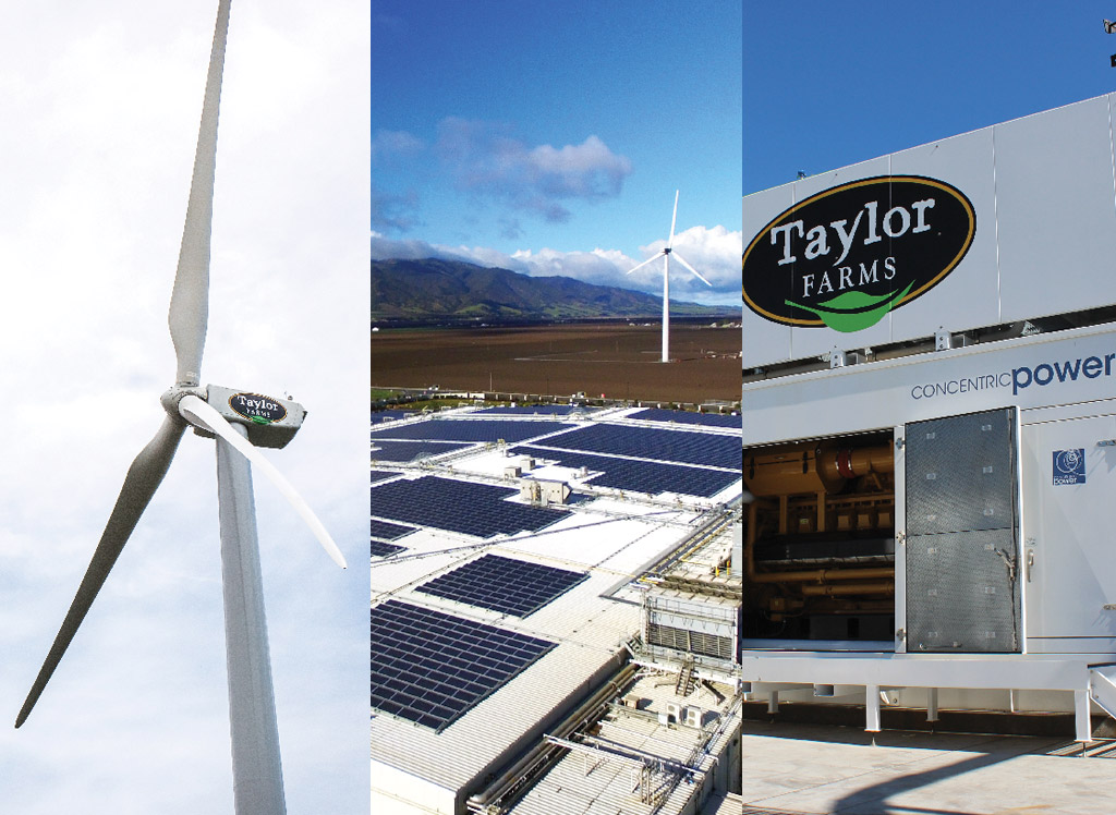 Taylor Farms Introduces Three-Part Renewable and Alternative Energy System, Powering a Sustainable Future
