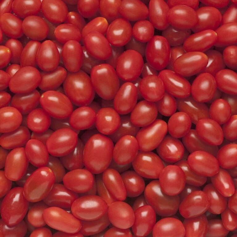 Fresh and vibrant grape tomatoes, perfect for salads and snacking, showcasing their rich color and healthy appeal.