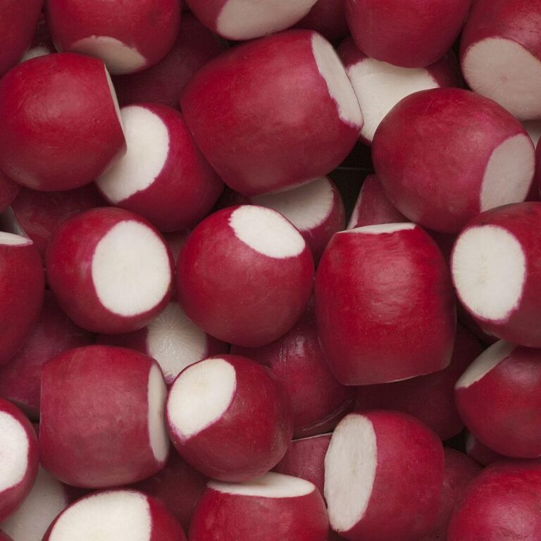 Fresh, vibrant radishes with a crisp texture, perfect for salads and healthy dishes.