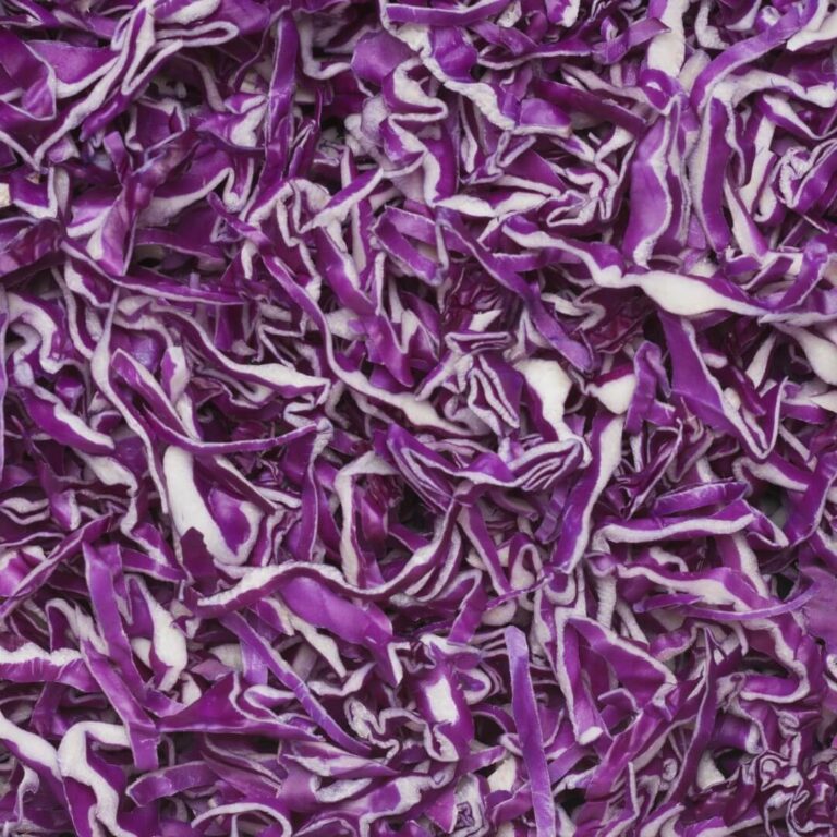 Fresh red cabbage with vibrant purple leaves, perfect for salads and healthy dishes.