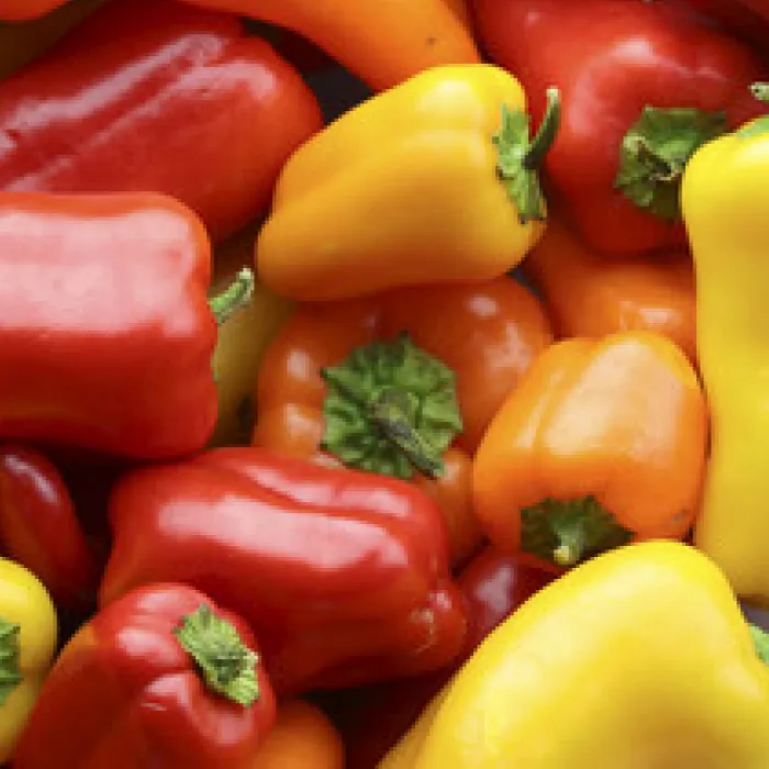 Sweet Mini Peppers Vegetable Facts Taylor Farms