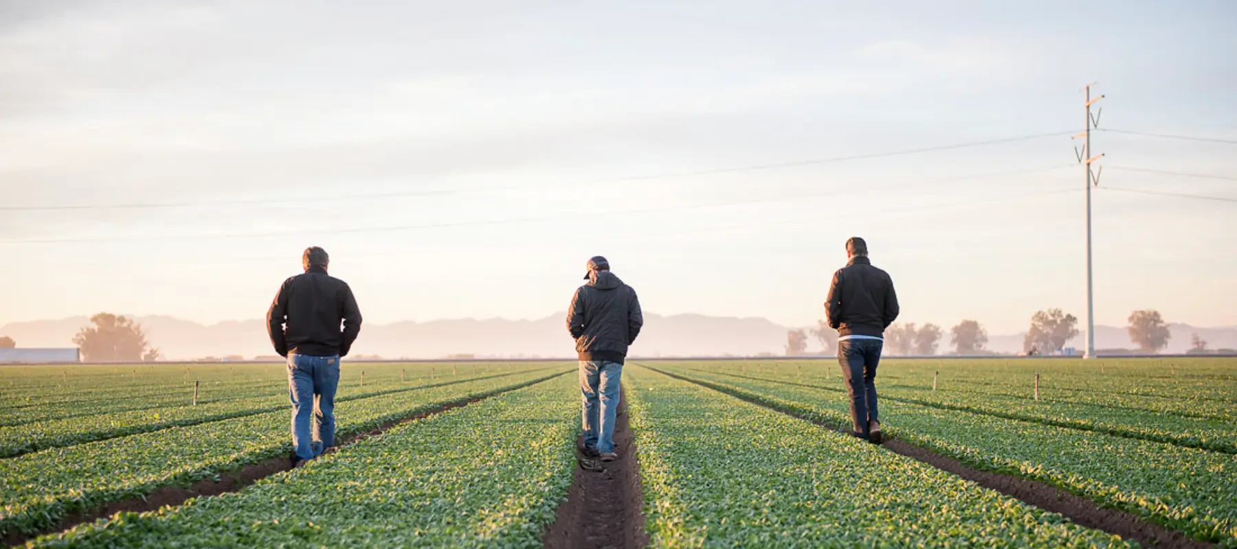 Taylor Farms' sustainable practices for resource conservation during Earth Month 2024.