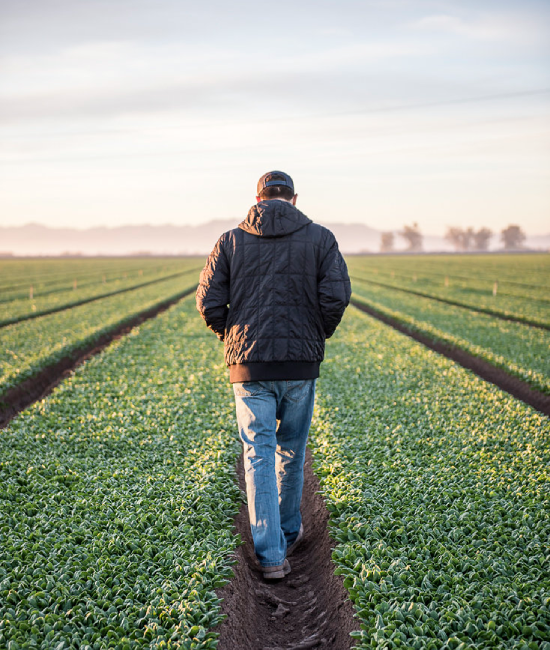 Taylor Farms' sustainable practices for resource conservation during Earth Month 2024.