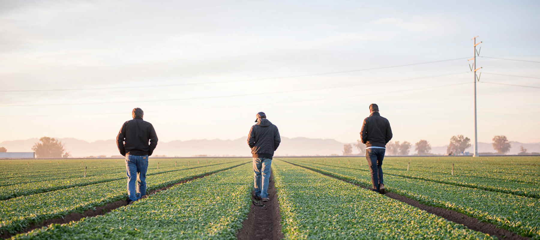 Taylor Farms' sustainable practices for resource conservation during Earth Month 2024.