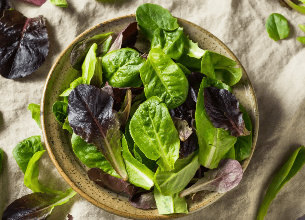 Fresh assortment of baby lettuces showcasing vibrant greens for healthy salads and culinary dishes.