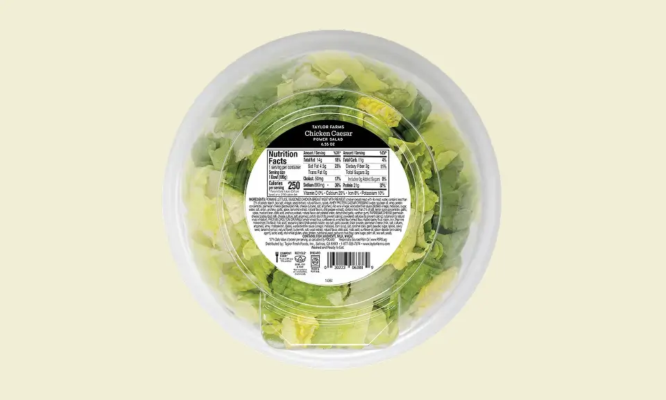 TF-Caesar-PROTEIN-Salad-Bowl-Bottom (1)