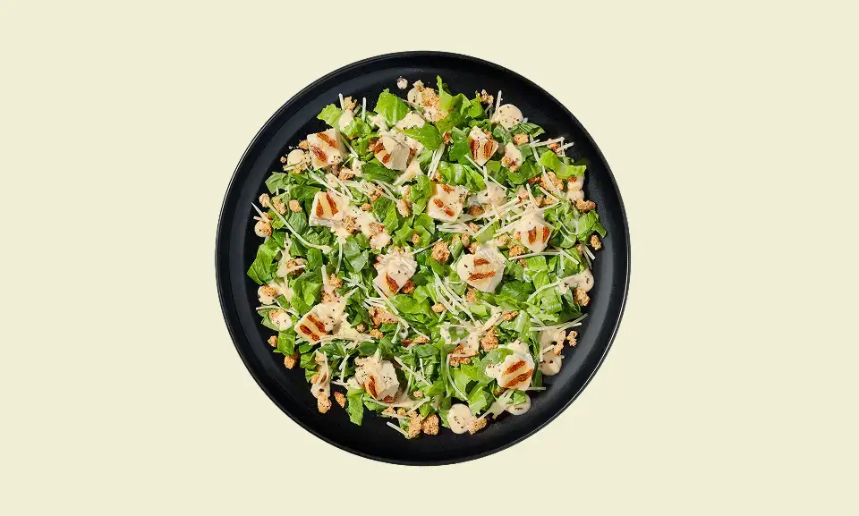 TF-Caesar-PROTEIN-Salad-Bowl-Plate