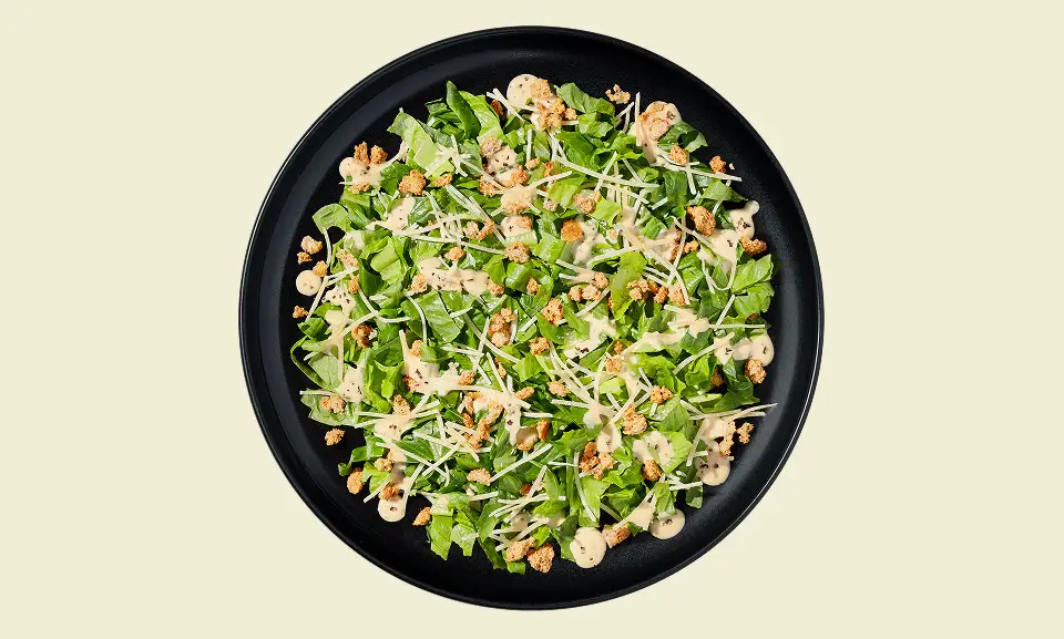 TF Caesar PROTEIN Power Mini Kit PKG-Dish